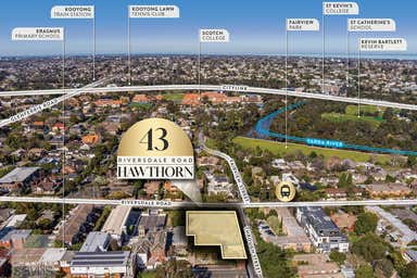 43 Riversdale Road Hawthorn VIC 3122 - Image 3