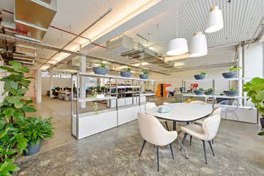 Ground Floor, 493 Bourke Street Surry Hills NSW 2010 - Image 3