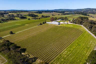 Sylvan Springs Estate, 40  Blythmans Road Blewitt Springs SA 5171 - Image 4