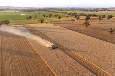 Eurongilly NSW 2663 - Image 4