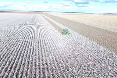 Jandowae QLD 4410 - Image 3