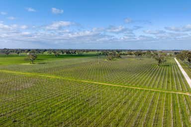 Ladbroke Grove Winery 14487 Riddoch Highway Coonawarra SA 5263 - Image 3