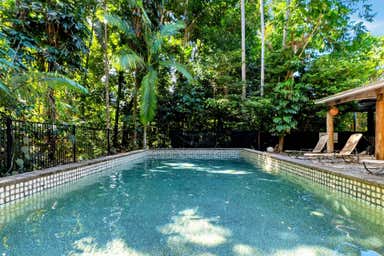 152 Rykers Rd Cape Tribulation QLD 4873 - Image 3