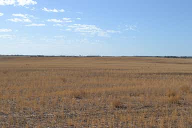 Lot 10 Simpson Rd Kyancutta SA 5651 - Image 4