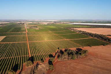 Nericon NSW 2680 - Image 3