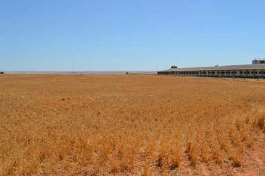 432 Wheat Road Beaufort SA 5550 - Image 4