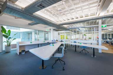 Level 2, 410 Crown Street Surry Hills NSW 2010 - Image 3
