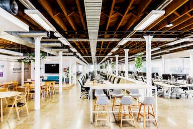 137 Pyrmont Street Pyrmont NSW 2009 - Image 4