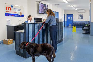 Melbourne Veterinary Specialist Centre, 66-70 Blackburn Road Glen Waverley VIC 3150 - Image 4