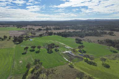 Palgrove, 555 Palgrave Road Dalveen QLD 4374 - Image 4