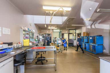 Burnie Veterinary Centre, 250 Mount Street Burnie TAS 7320 - Image 4