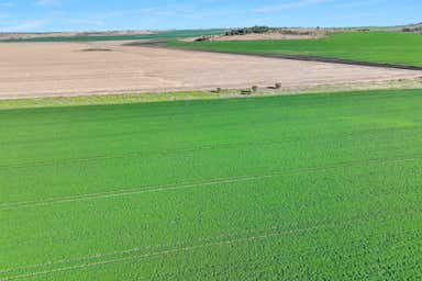 Warialda NSW 2402 - Image 3