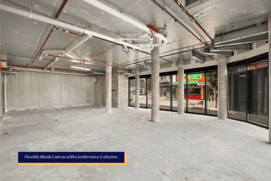 261 Centre Road Bentleigh VIC 3204 - Image 4