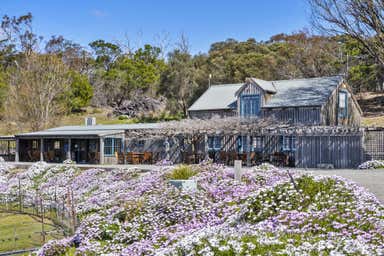 Kate's Berry Farm, 12 Addison Street Swansea TAS 7190 - Image 4