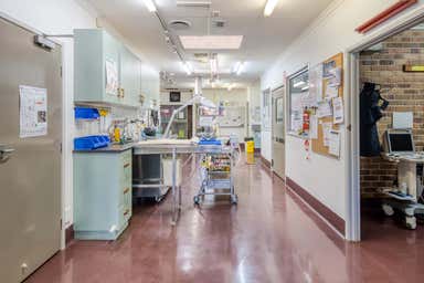 Chandlers Animal Hospital, 224 Alderley Street Toowoomba City QLD 4350 - Image 4