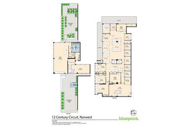705 - 707, 12 Century Circuit Norwest NSW 2153 - Floor Plan 1