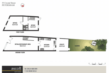55 Crystal Street Petersham NSW 2049 - Floor Plan 1