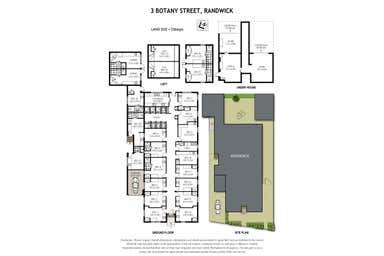 3 Botany Street Randwick NSW 2031 - Floor Plan 1