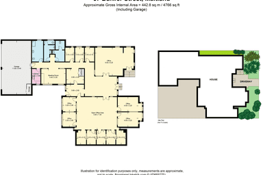 67 Bulwer Maitland NSW 2320 - Floor Plan 1