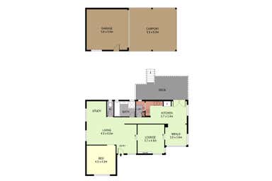 443 Napier Street White Hills VIC 3550 - Floor Plan 1