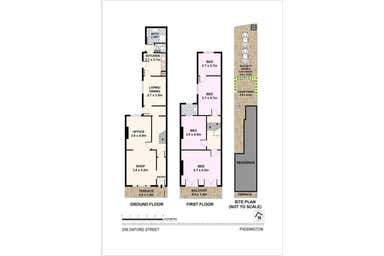 208 Oxford Street Paddington NSW 2021 - Floor Plan 1