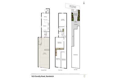 163 Clovelly Road Randwick NSW 2031 - Floor Plan 1
