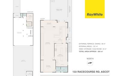 133 Racecourse Road Ascot QLD 4007 - Floor Plan 1