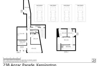 238 Anzac Parade Kensington NSW 2033 - Floor Plan 1