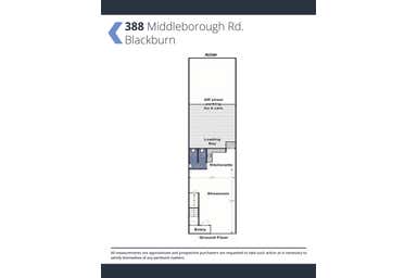 388 Middleborough Road Blackburn VIC 3130 - Floor Plan 1