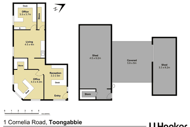 1 Cornelia Road Toongabbie NSW 2146 - Floor Plan 1
