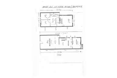 Level Ground, 137 Concord Road North Strathfield NSW 2137 - Floor Plan 1
