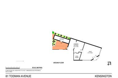 61 Todman Avenue Kensington NSW 2033 - Floor Plan 1