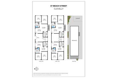 37 Beach Street Clovelly NSW 2031 - Floor Plan 1