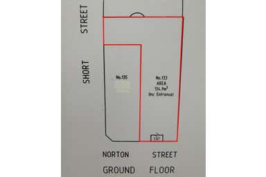 133 Norton Street Leichhardt NSW 2040 - Floor Plan 1