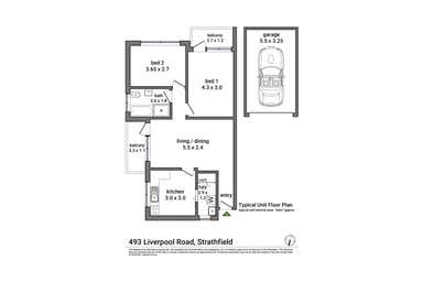 493 Liverpool Road Strathfield NSW 2135 - Floor Plan 1
