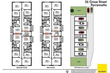 1-8/36 Grose Street Parramatta NSW 2150 - Floor Plan 1
