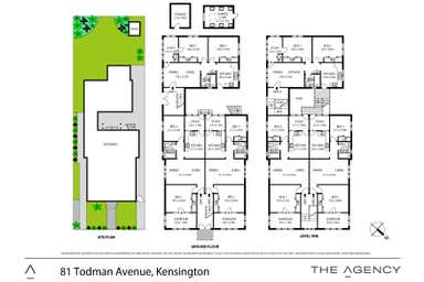 81  Todman Avenue Kensington NSW 2033 - Floor Plan 1