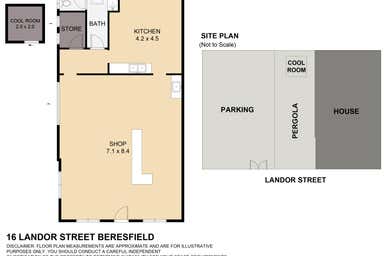 16 Landor Street Beresfield NSW 2322 - Floor Plan 1