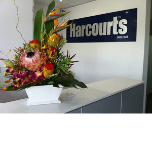 Harcourts North Geelong