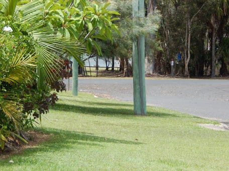 3 Pandanus, Poona 3 Pandanus, Poona