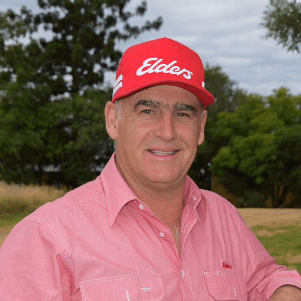 Andrew Thomson Elders Rural QLD Sth