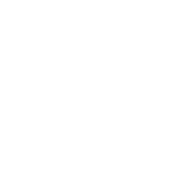 Stone Real Estate - Tumbi Umbi | Bateau Bay | Berkeley Vale logo
