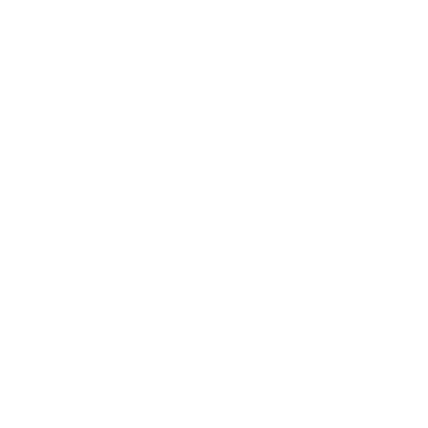 Wise View Property Group logo