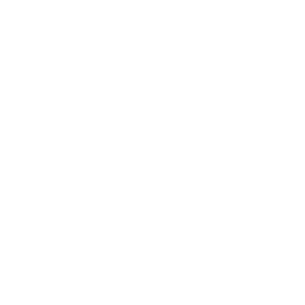 Joe Langley Real Estate - NOOSA HEADS logo