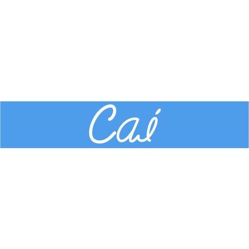 CAI Real Estate logo
