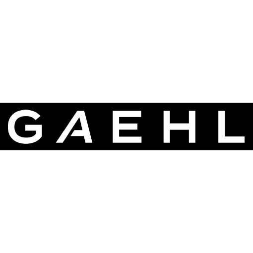 Gaehl Real Estate logo