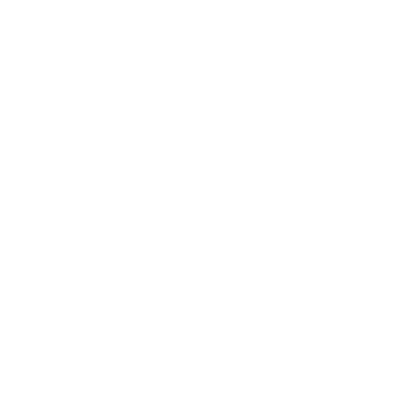 Vision Property Investment Group logo