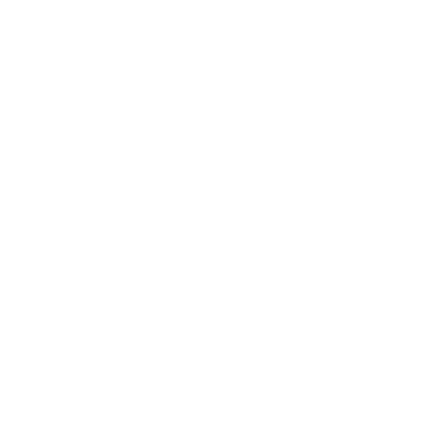 Jun International Realtors logo