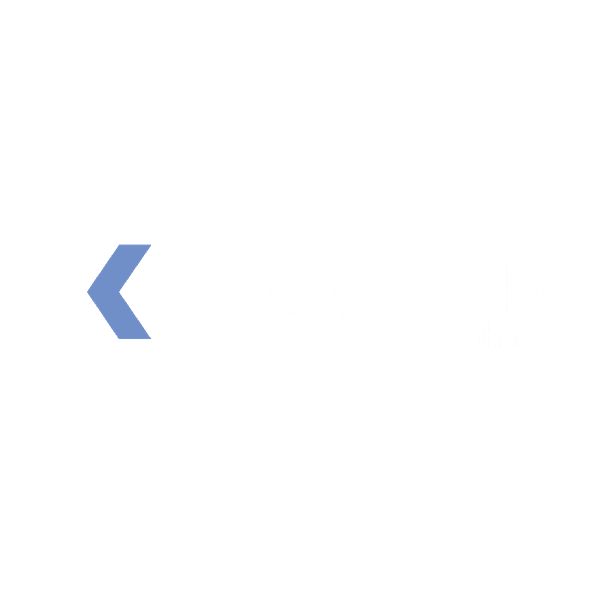Xynergy Realty Wyndham logo