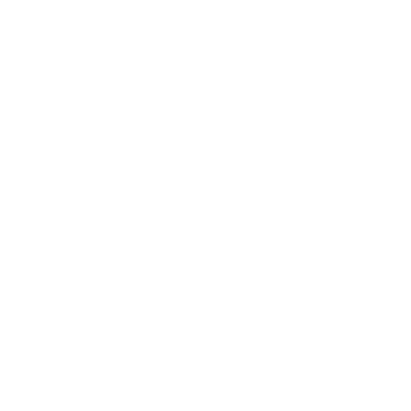 Presence Newcastle, Lake Macquarie, Central Coast & Hunter - logo